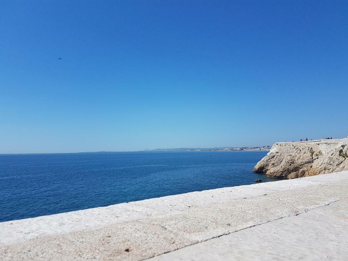 Les Palmiers A 700M De La Mer نيس المظهر الخارجي الصورة